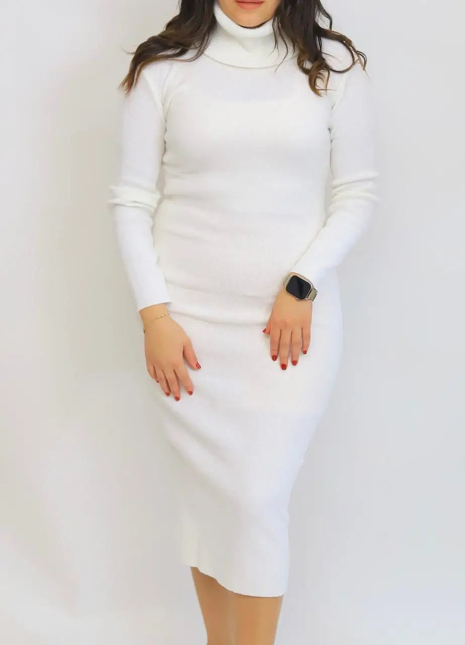 Elegant Turtleneck Midi